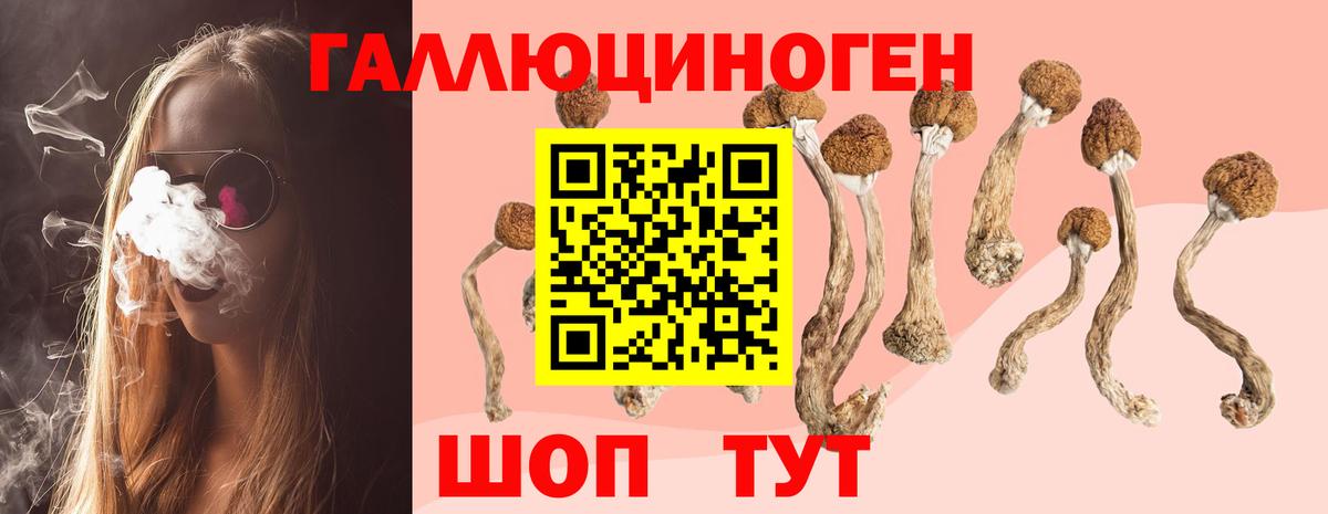 Псилоцибиновые грибы GOLDEN TEACHER Зеленогорск