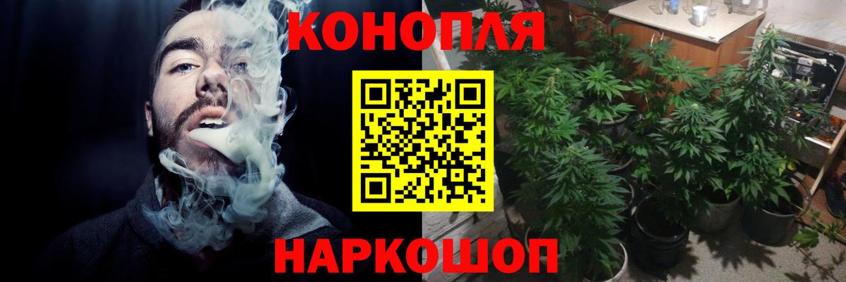 Каннабис конопля  МАРИХУАНА THC 21%  Бошки марихуана планчик  Канабис индика  Вход с VPN  Зеленогорск 